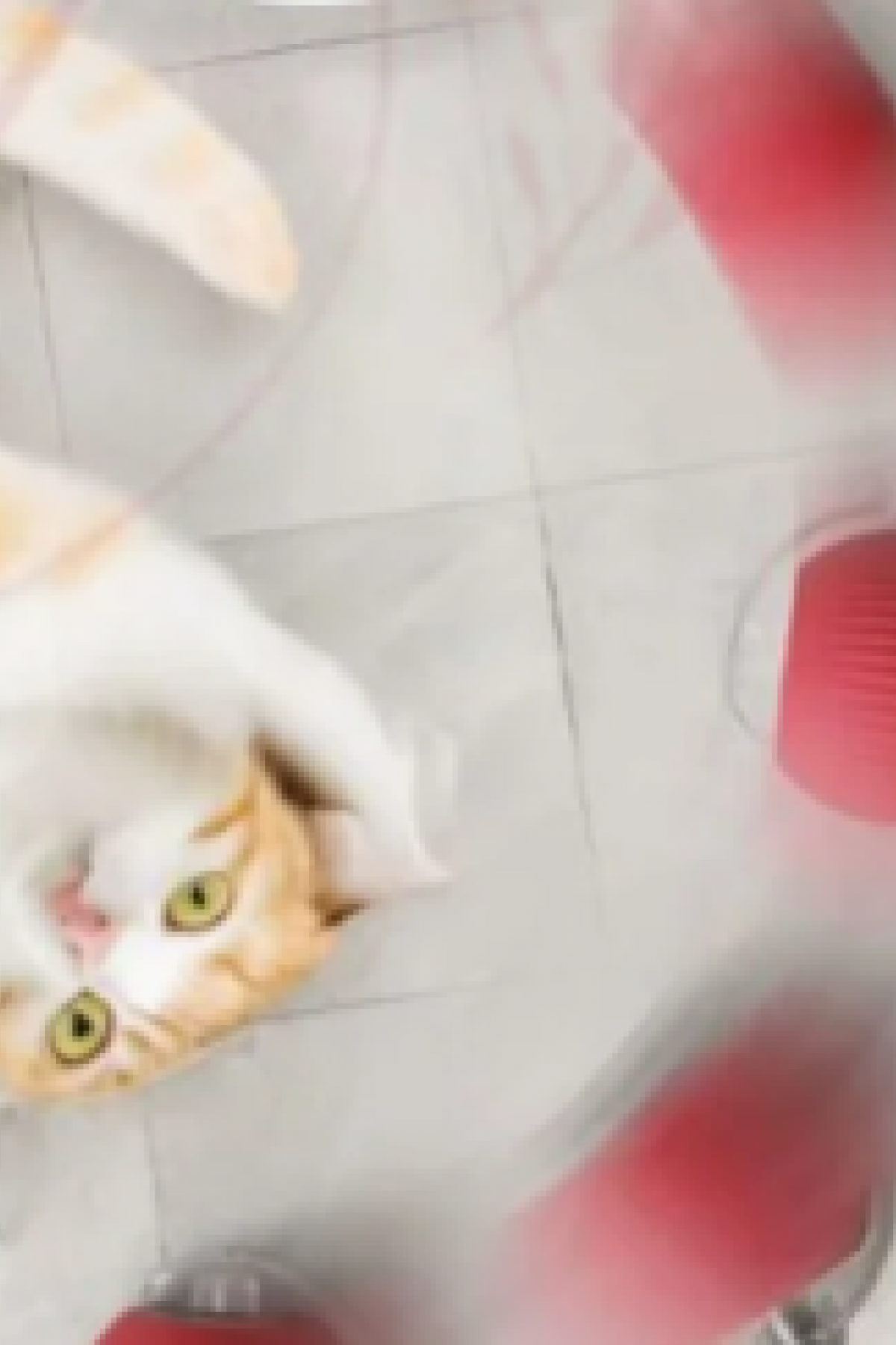 İ-PETS C02 ŞARJLI KEDİ TOPU (KIRMIZI)