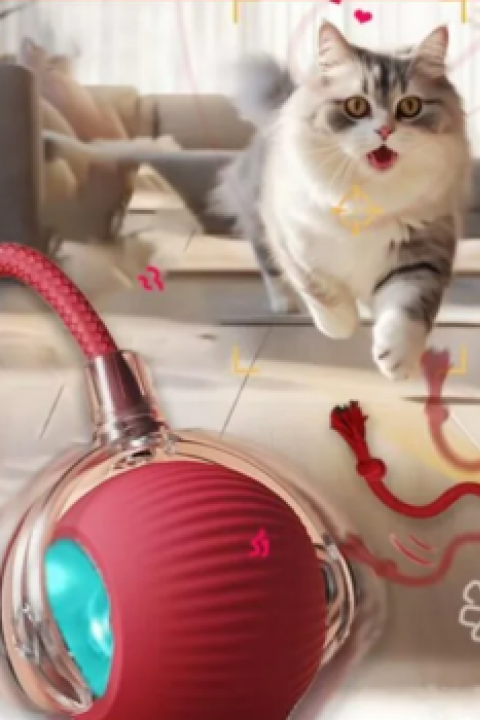 İ-PETS C02 ŞARJLI KEDİ TOPU (KIRMIZI)