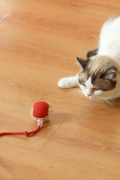 İ-PETS C02 ŞARJLI KEDİ TOPU (KIRMIZI)