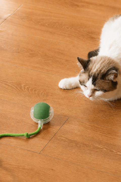 İ-PETS C02 ŞARJLI KEDİ TOPU (YEŞİL)